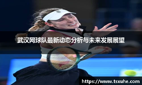 武汉网球队最新动态分析与未来发展展望